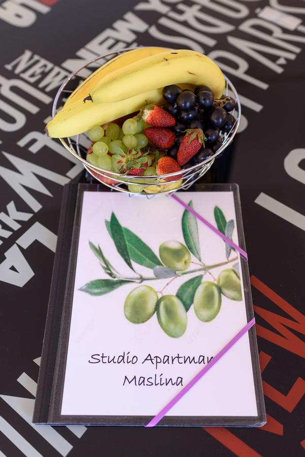 Studio Apartment Maslina Gornji Karin Pokój zdjęcie