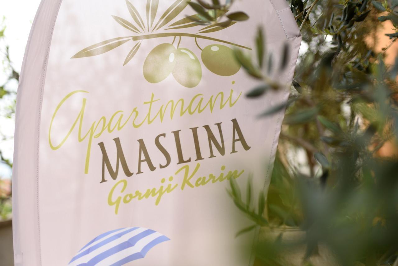 Studio Apartment Maslina Gornji Karin Zewnętrze zdjęcie